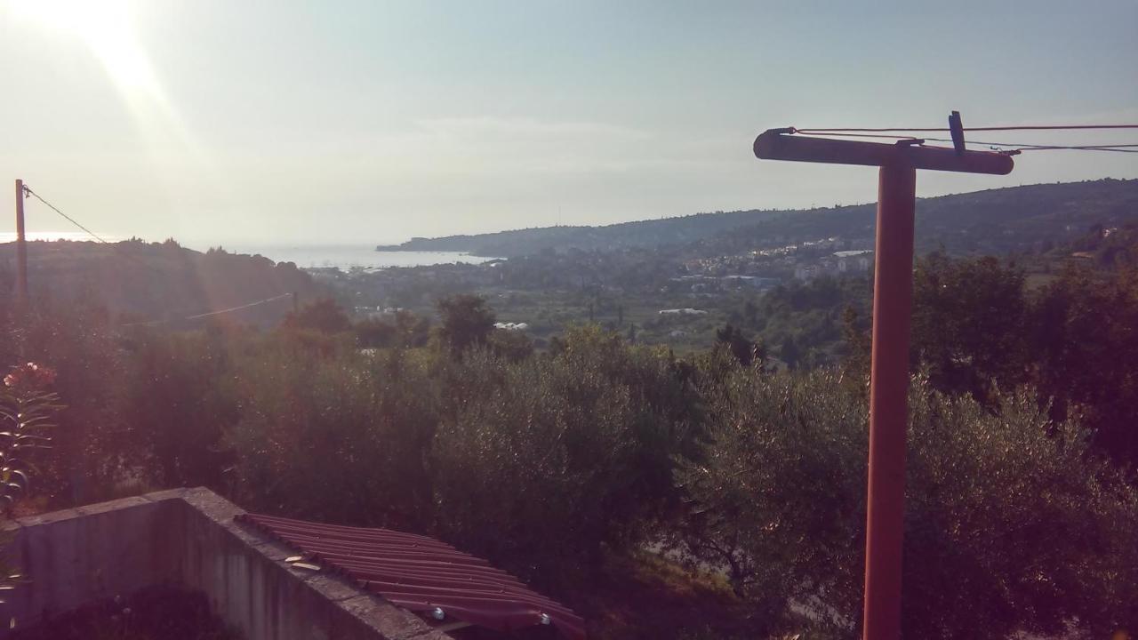 Studio-Apartma Med Oljkami Daire Portorož Dış mekan fotoğraf